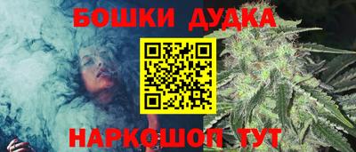 a pvp Кингисепп