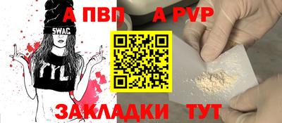 a pvp Кингисепп