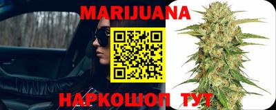 a pvp Кингисепп