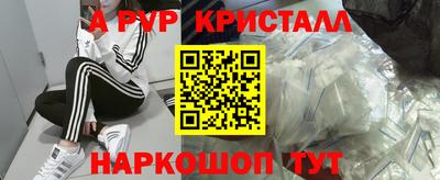 a pvp Кингисепп