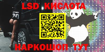 a pvp Кингисепп