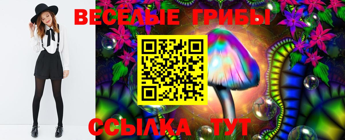 Псилоцибиновые грибы мицелий Владимир