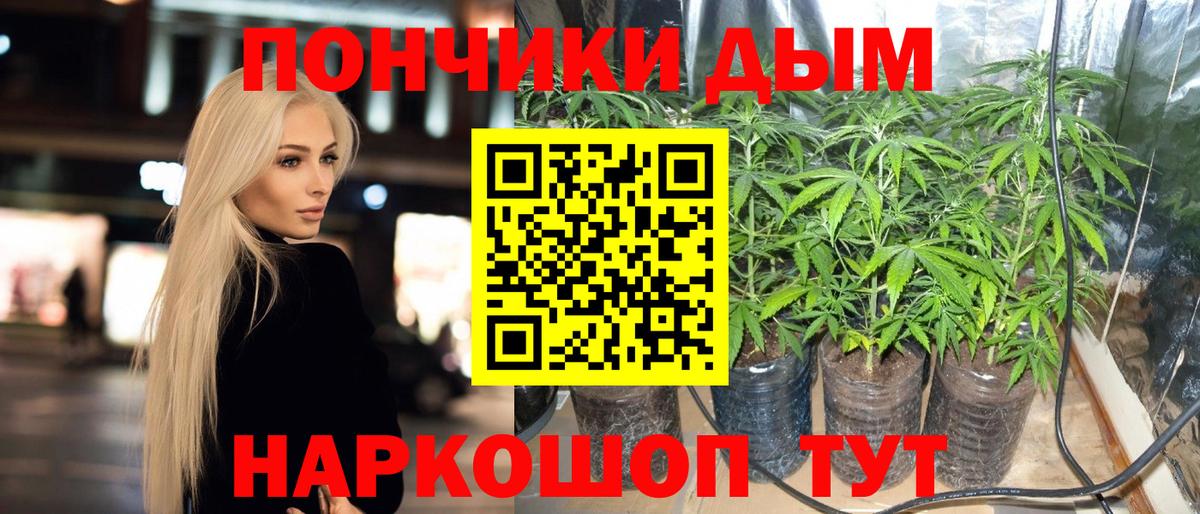 Владимир  Каннабис конопля  Бошки Шишки семена  Марихуана AK-47  Вход с VPN  Бошки марихуана семена 